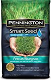 Pennington Smart Seed Fescue/Bluegrass Mix, 3 lb